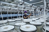Indonesia khởi xướng điều tra tự vệ đối với sản phẩm vải bạt tarpaulin nhập khẩu