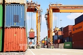Kim ngạch xuất khẩu của Việt Nam sang Singapore tăng vượt bậc