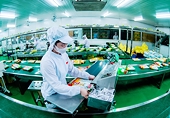 Tuân thủ các quy định SPS trong Hiệp định EVFTA