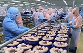 Hướng tới cân bằng cán cân thương mại Việt Nam – Trung Quốc