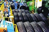 Nam Phi khởi xướng điều tra chống lẩn tránh thuế CBPG đối với mặt hàng lốp xe ôtô, xe buýt và xe tải từ Thái Lan, Campuchia và Việt Nam