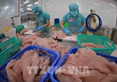 Hoa Kỳ khởi xưởng rà soát hành chính thuế CBPG đối với một số sản phẩm xuất khẩu của Việt Nam