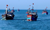 EC chưa thông báo ngày, giờ cụ thể sẽ sang Việt Nam thanh tra, xem xét gỡ 'thẻ vàng' IUU