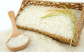 Chi gần 1 tỷ USD, Việt Nam nhập khẩu gạo để làm gì?