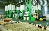 Xuất nhập khẩu tiếp tục tăng tốc ấn tượng