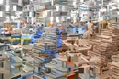 Gia tăng kim ngạch xuất khẩu: Đẩy mạnh nâng cao năng lực phòng vệ thương mại cho doanh nghiệp
