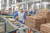 Gia tăng kim ngạch xuất khẩu: Đẩy mạnh nâng cao năng lực phòng vệ thương mại cho doanh nghiệp