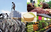 Xuất khẩu nông, lâm, thủy sản cuối năm sẽ nhiều thách thức