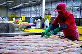 Xuất khẩu thủy sản 9 tháng đạt hơn 7 tỷ USD, mặt hàng tôm và cá tra tăng trưởng bứt phá