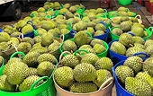 Trung Quốc: Thị trường lớn nhất của rau quả Việt Nam