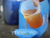 Hoa Kỳ gia hạn thời gian ban hành Kết luận cuối cùng đợt rà soát hành chính lần thứ nhất lệnh áp thuế CBPG với mật ong Việt Nam