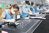 Nhiều doanh nghiệp Việt còn yếu về nội lực, 'đói' thông tin từ các thị trường xuất khẩu