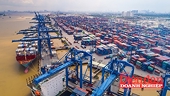 Doanh nghiệp logistics và xuất khẩu ứng phó với CBAM