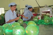 Kết quả bầu cử Mỹ có tác động gì đến xuất khẩu của Việt Nam?