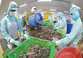 Chiến lược tiếp cận thị trường và xây dựng thương hiệu thủy sản tại Vương quốc Anh