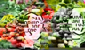 EU công nhận 3 tổ chức được chứng nhận hữu cơ từ Việt Nam