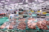 Xuất khẩu thủy sản 10 tháng đạt hơn 8,3 tỷ USD