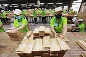 Xuất khẩu gỗ đối mặt nhiều thách thức mới tại thị trường Mỹ và EU