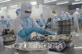 Nâng chất cho sản phẩm tránh điều tra phòng vệ thương mại