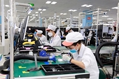 Doanh nghiệp tham gia sớm vào quá trình chuyển đổi xanh sẽ có những đặc quyền rất lớn