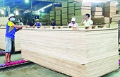 267 vụ việc điều tra phòng vệ thương mại đối với hàng xuất khẩu của Việt Nam