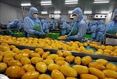 Nông sản Việt nhiều cơ hội thâm nhập thị trường Halal