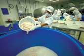 Đằng sau hào quang xuất khẩu
