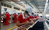 Nhiều cơ hội và thách thức trong hợp tác kinh tế Việt Nam - Hoa Kỳ
