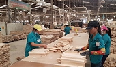 Xuất khẩu gỗ và lâm sản vượt hơn 13% kế hoạch