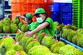 Mở đường để nông sản Việt Nam "thăng hoa" tại Trung Quốc
