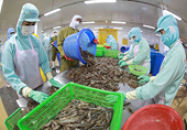 Hàng rào phòng vệ tại các thị trường "dày đặc", Bộ Công Thương đẩy mạnh hỗ trợ doanh nghiệp ứng phó