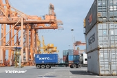 Đáp ứng các tiêu chuẩn cao để xuất khẩu bền vững sang thị trường Hoa Kỳ