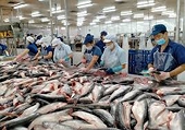 Xuất khẩu thủy sản tiếp tục giữ vững vị trí thứ 3 thế giới