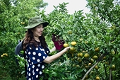 Nông nghiệp Việt Nam: Đảm bảo an ninh lương thực, mở rộng thị trường xuất khẩu