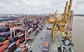 Thực thi hiệu quả các FTA: thúc đẩy hội nhập kinh tế quốc tế