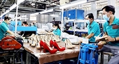 Miếng bánh 29 tỉ đô la ngành da giày chủ yếu trong tay doanh nghiệp lớn
