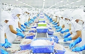 Kim ngạch tăng đột biến, tạo cơ hội lớn xuất khẩu cá tra sang Mỹ