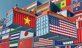 Triển vọng xuất khẩu sang Hoa Kỳ năm 2025