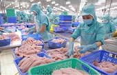 Vượt qua Nhật Bản, Việt Nam giữ vị trí đối tác xuất khẩu thủy sản lớn thứ 5 tại Singapore