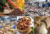 Xuất khẩu nông sản cần lưu ý những thay đổi về SPS từ các thị trường nhập khẩu