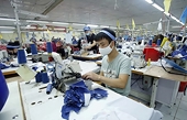 Xuất khẩu sang thị trường EU: Tập trung vào sản phẩm chế biến sâu, khác biệt
