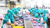 Căng thẳng thương mại Mỹ với Canada, Mexico, Trung Quốc: Doanh nghiệp Việt chủ động ứng phó