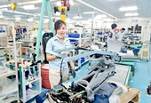 Sản xuất sớm, kỳ vọng xuất khẩu ‘thuận buồm xuôi gió’