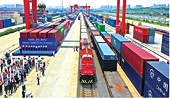 Khởi đầu 2025: đối mặt với bất ngờ!