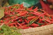 Xuất khẩu nông sản sang EU: Tránh rủi ro không đáng có