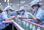 Doanh nghiệp thực phẩm chế biến rộng đường xuất khẩu sang Canada