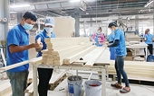 Thị trường Hoa Kỳ tiếp tục là điểm sáng của ngành gỗ xuất khẩu