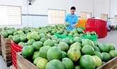 Hướng tới thương mại Việt – Mỹ cân bằng, cùng có lợi