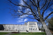 Canada khiếu nại lên WTO về động thái áp thuế của Mỹ