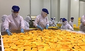 EU siết chặt quy định đối với nông sản tươi nhập khẩu